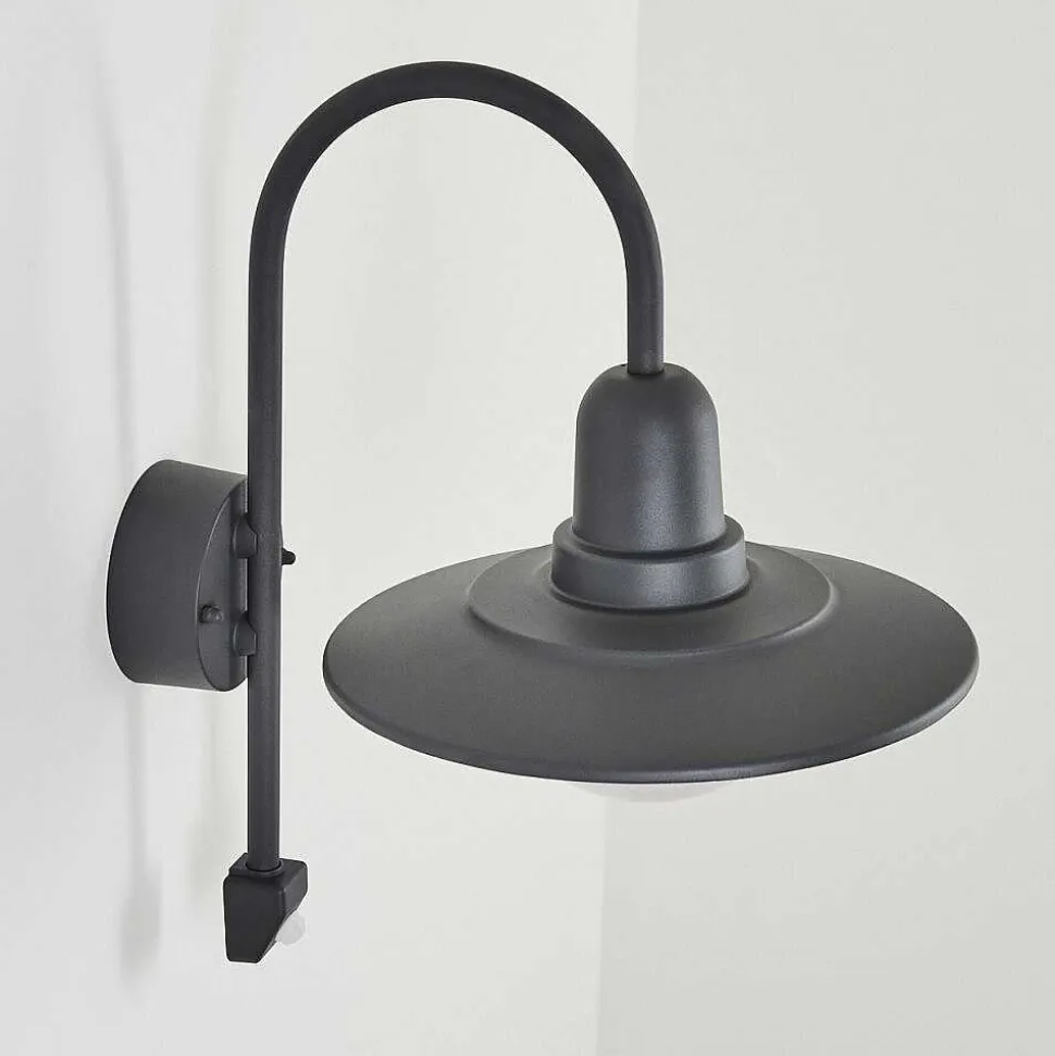 Applique Murale D'Exterieur Pohei Anthracite, 1 Lumiere, Detecteur De Mouvement