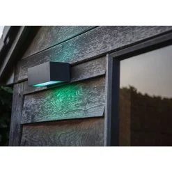 Applique Murale D'Exterieur Lutec Gemini Led Anthracite, 2 Lumieres, Changeur De Couleurs