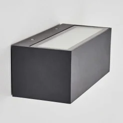 Applique Murale D'Exterieur Spidern Led Anthracite, 1 Lumiere, Changeur De Couleurs