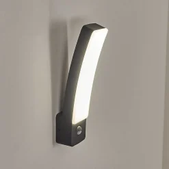 Applique Murale D'Exterieur Maseru Led Anthracite, 1 Lumiere, Detecteur De Mouvement