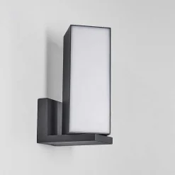 Applique Murale D'Exterieur Swanek Led Anthracite, 1 Lumiere