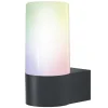 Applique Murale D'Exterieur Ledvance Smart+ Gris, 1 Lumiere