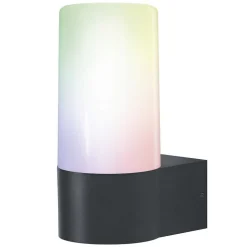 Applique Murale D'Exterieur Ledvance Smart+ Gris, 1 Lumiere