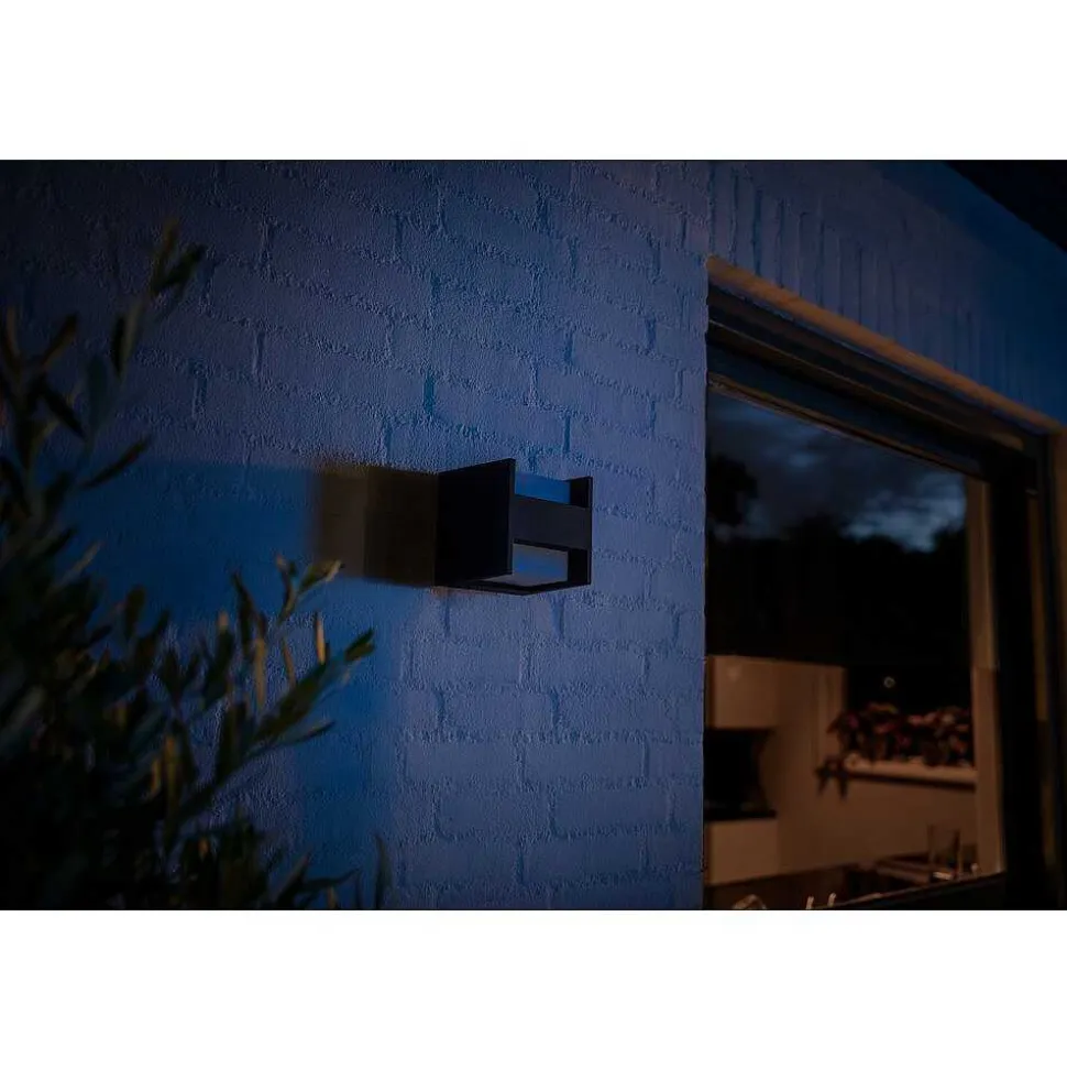 Applique Murale Philips Hue White Fuzo Led Noir, 1 Lumiere