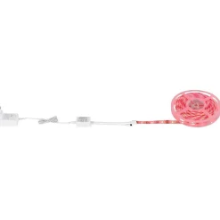 Bande Globo Eduard, 1 Lumiere, Changeur De Couleurs