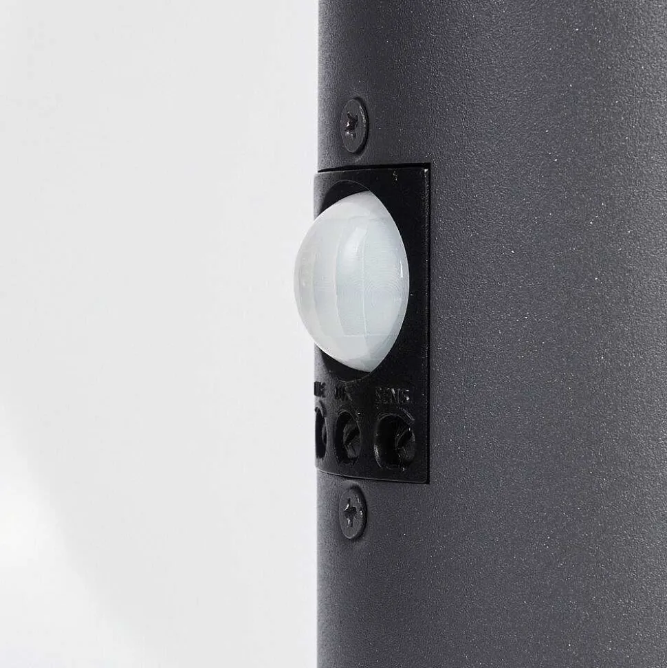 Borne Lumineuse Caserta Anthracite, 1 Lumiere, Detecteur De Mouvement