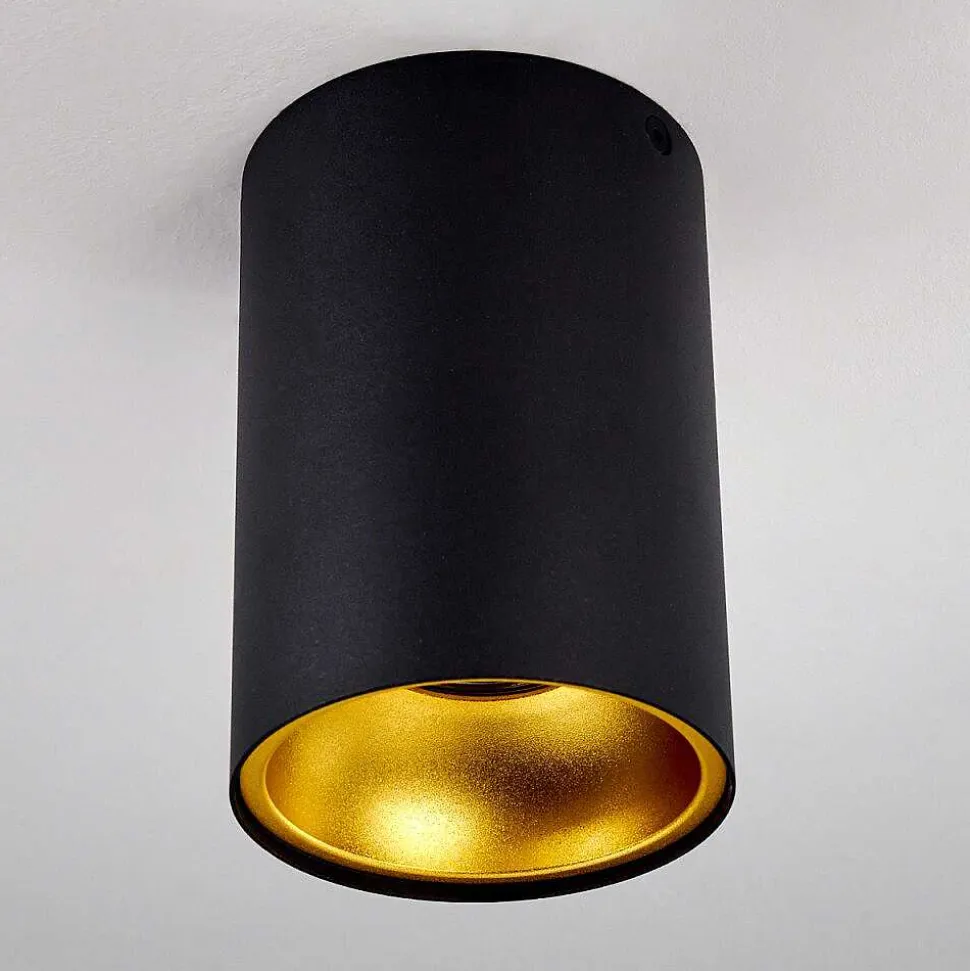 Downlight Grenada Noir, Noir Dore, 1 Lumiere