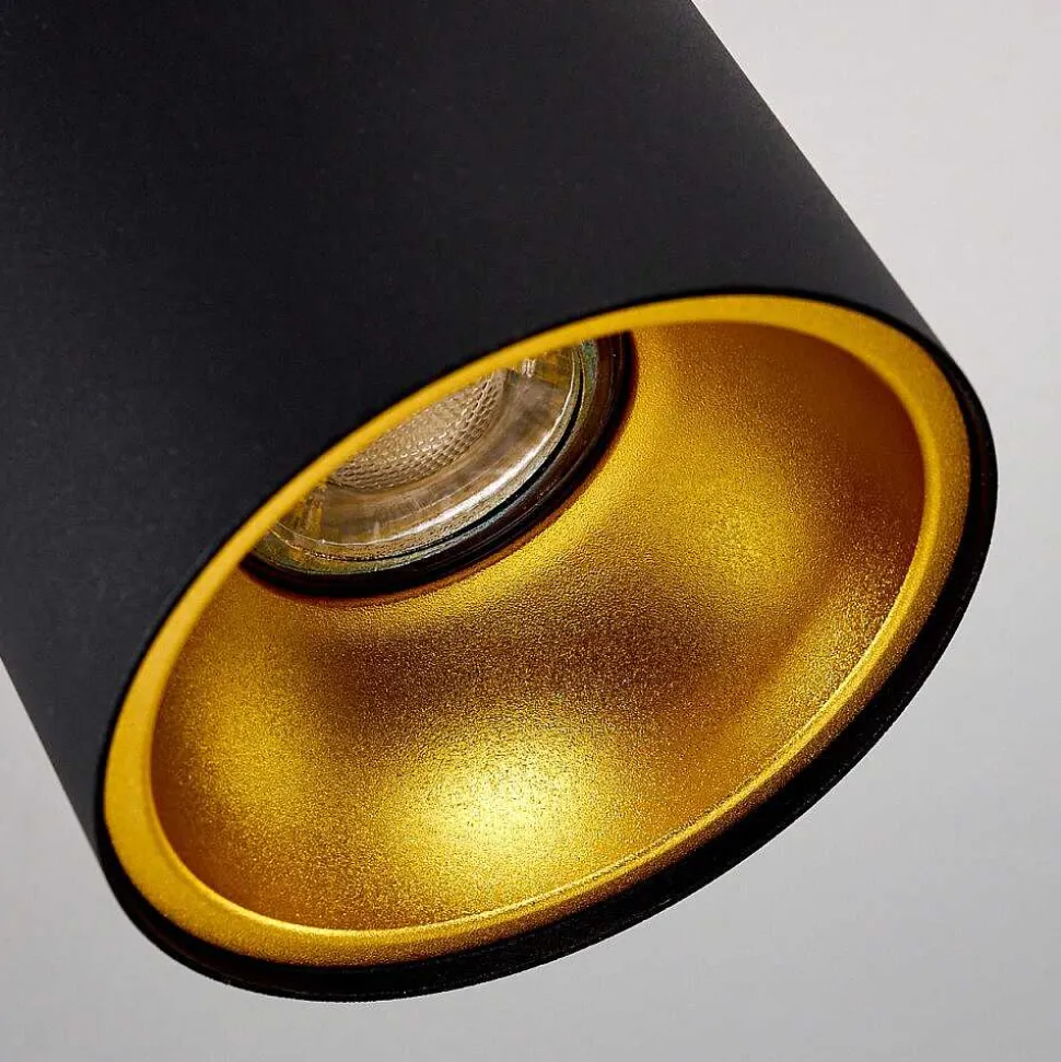 Downlight Grenada Noir, Noir Dore, 1 Lumiere