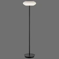 Lampadaire Paul Neuhaus Q-Etienne Led Noir, 1 Lumiere, Telecommandes