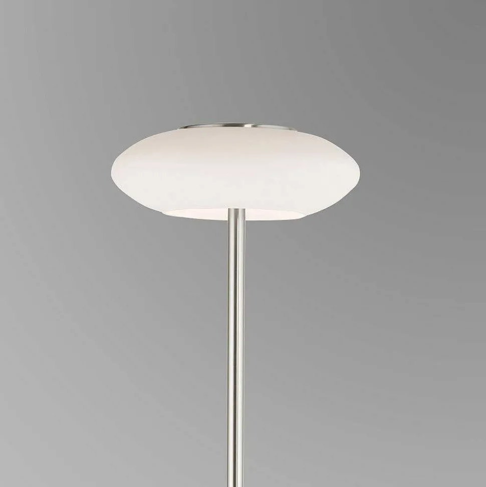 Lampadaire Paul Neuhaus Q-Etienne Led Acier Brosse, 1 Lumiere, Telecommandes