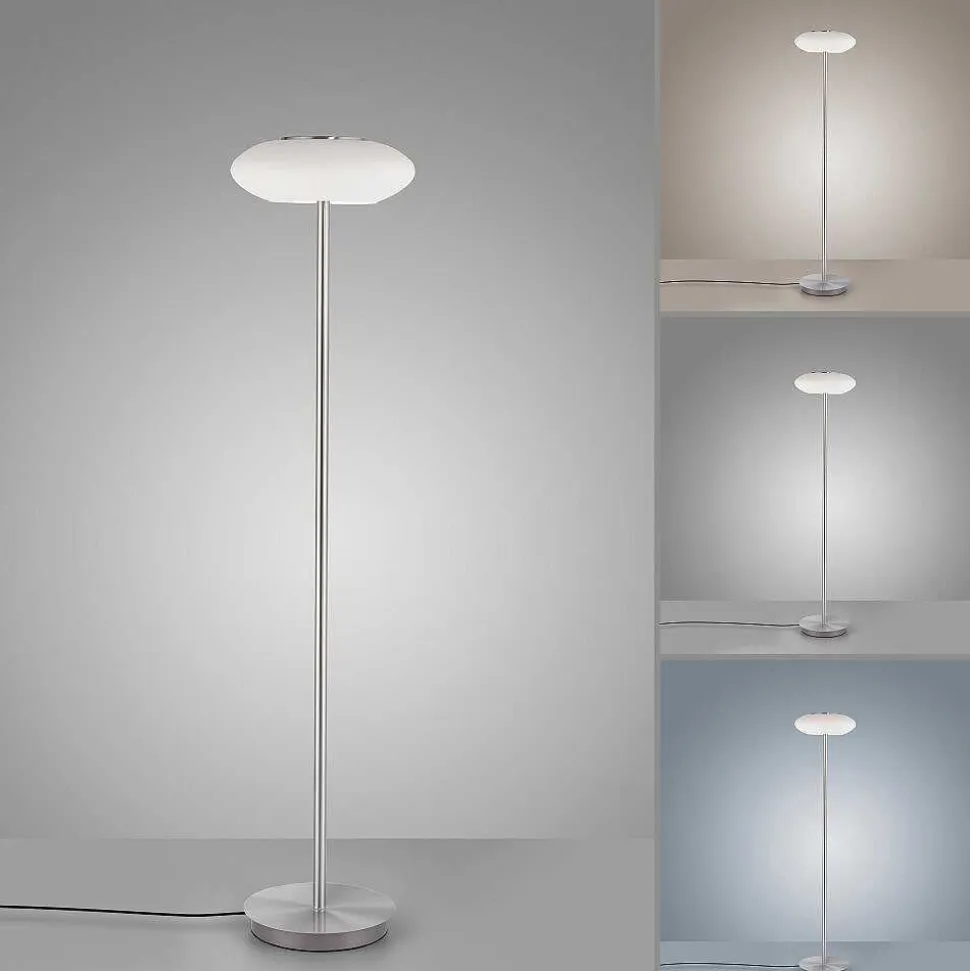 Lampadaire Paul Neuhaus Q-Etienne Led Acier Brosse, 1 Lumiere, Telecommandes