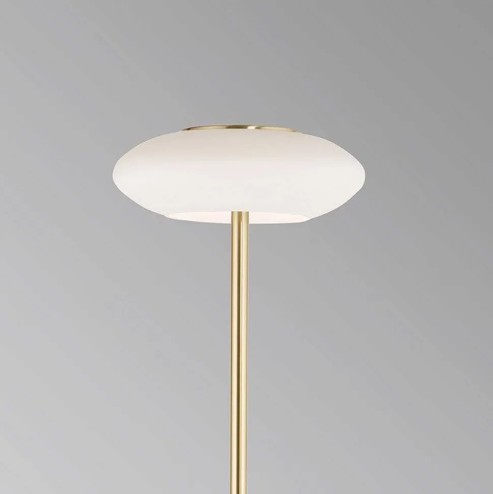 Lampadaire Paul Neuhaus Q-Etienne Led Laiton, 1 Lumiere, Telecommandes