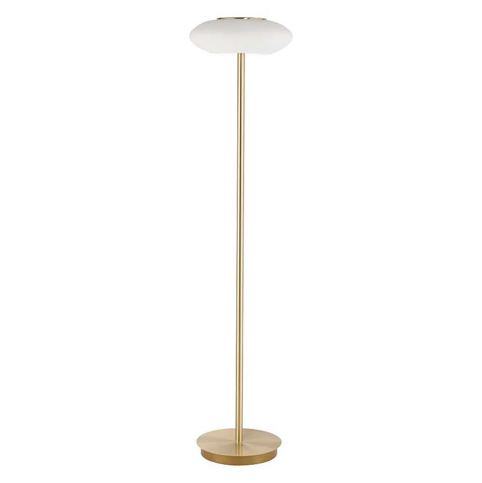 Lampadaire Paul Neuhaus Q-Etienne Led Laiton, 1 Lumiere, Telecommandes