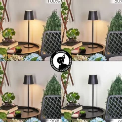 Lampe A Poser Allen Led Noir, 1 Lumiere