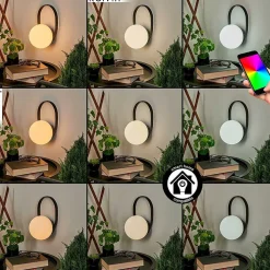 Lampe A Poser Fair Led Noir, 1 Lumiere, Changeur De Couleurs