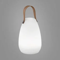 Lampe A Poser Fhl-Easy Ruby Led Blanc, 1 Lumiere, Telecommandes, Changeur De Couleurs