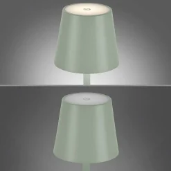 Lampe A Poser Leuchten-Direkt Euria Led Vert, 1 Lumiere