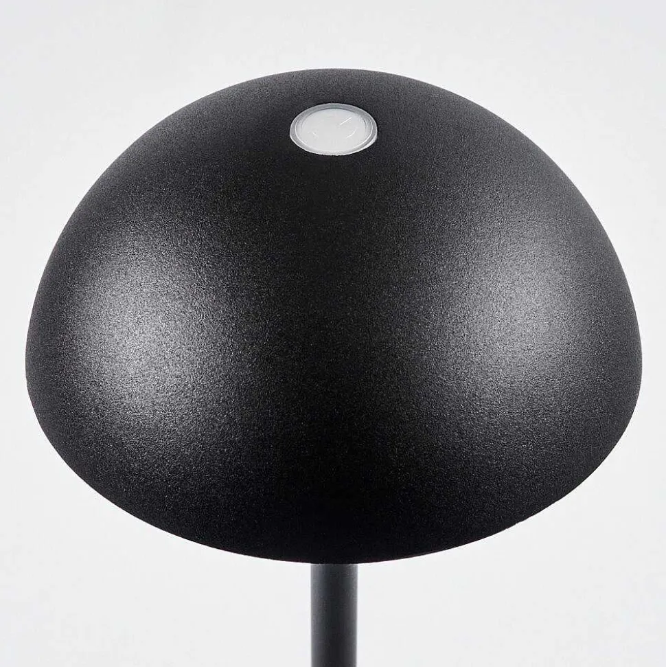Lampe A Poser Pelaro Led Noir, 1 Lumiere