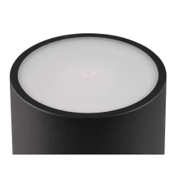 Lampe A Poser Reality Fernandez Led Noir, 1 Lumiere