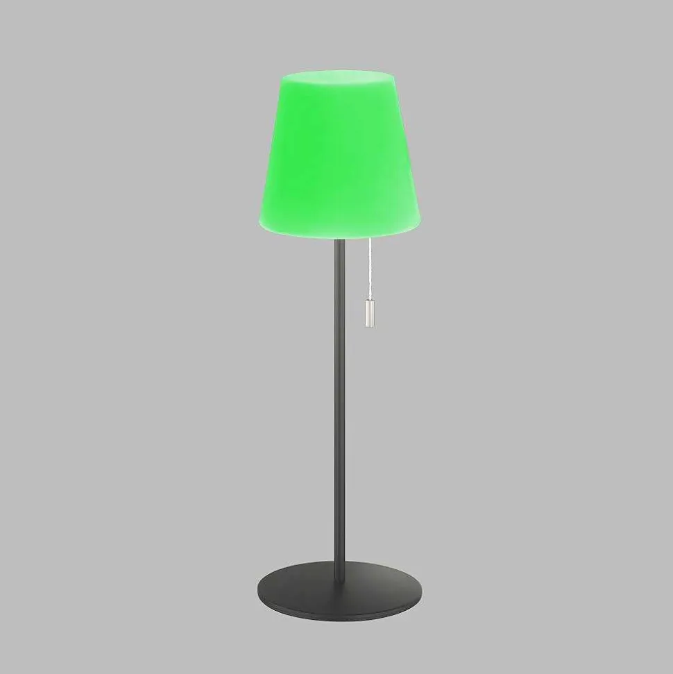 Lampe A Poser Schoner Wohnen-Kollektion Talent Led Anthracite, 1 Lumiere, Telecommandes, Changeur De Couleurs