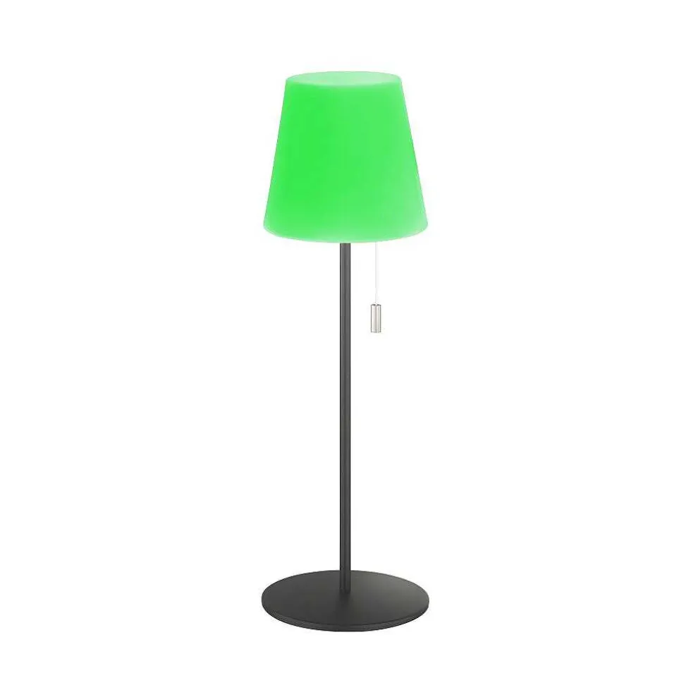 Lampe A Poser Schoner Wohnen-Kollektion Talent Led Anthracite, 1 Lumiere, Telecommandes, Changeur De Couleurs