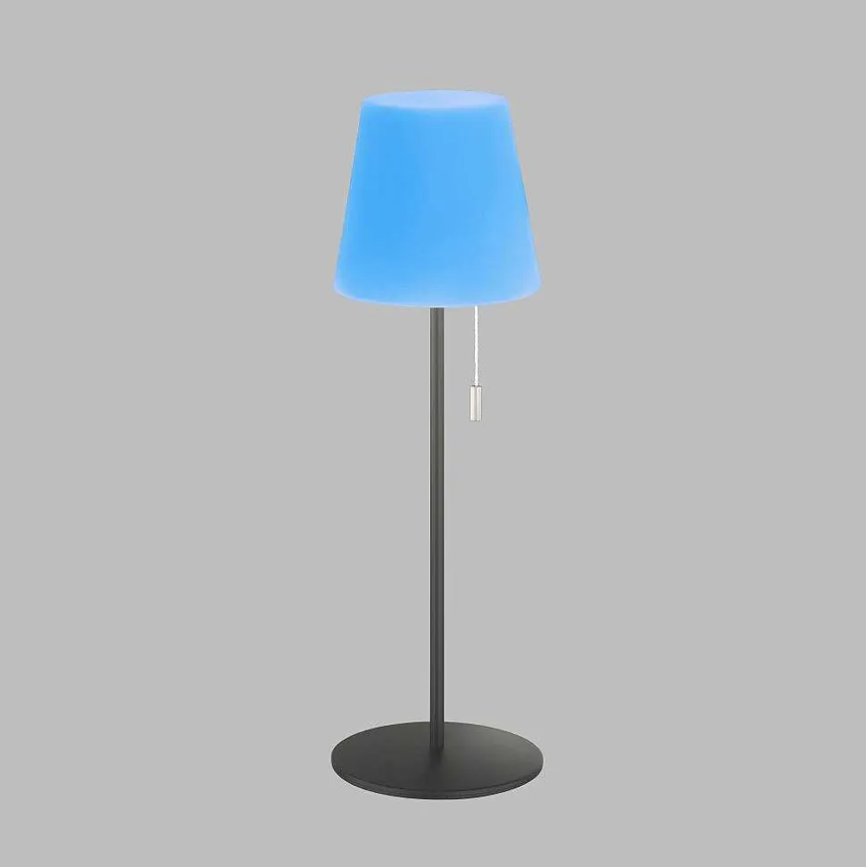 Lampe A Poser Schoner Wohnen-Kollektion Talent Led Anthracite, 1 Lumiere, Telecommandes, Changeur De Couleurs