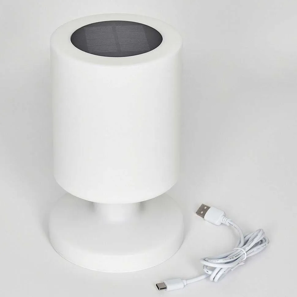 Lampe Solaires Pontaut Led Blanc, 1 Lumiere