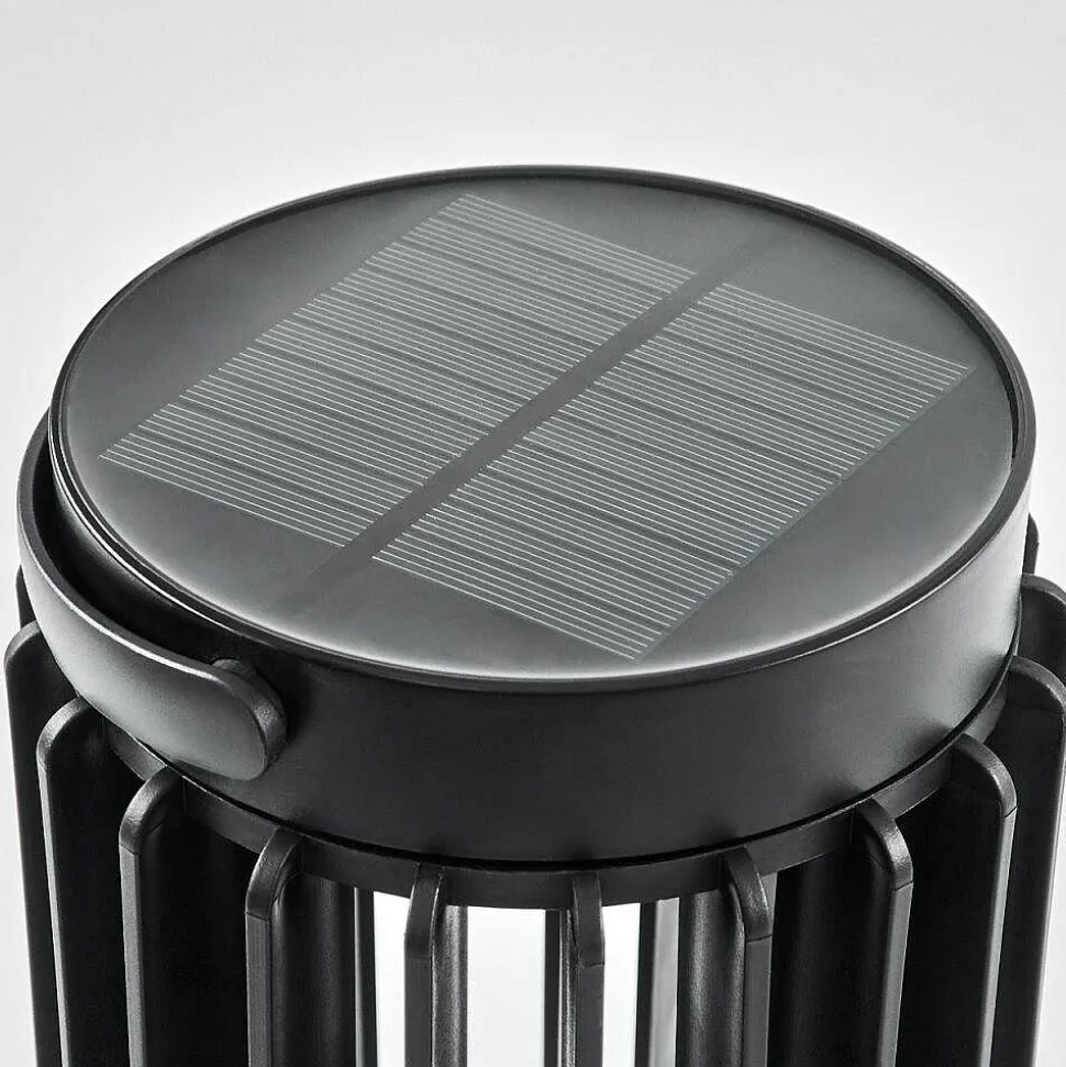 Lampe Solaires Rossina Led Noir, 1 Lumiere