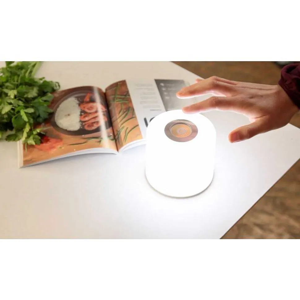 Lot De 2 Lampes Solaires Lutec Noma Led Blanc, 2 Lumieres, Changeur De Couleurs