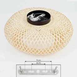 Plafonnier Alavi Noir, 1 Lumiere