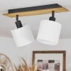 Plafonnier Alsen Ecru, Noir, 2 Lumieres