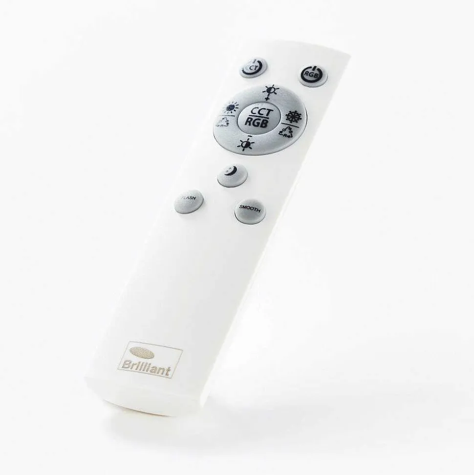 Plafonnier Brilliant-Leuchten Tessy Led Noir, 1 Lumiere, Telecommandes, Changeur De Couleurs