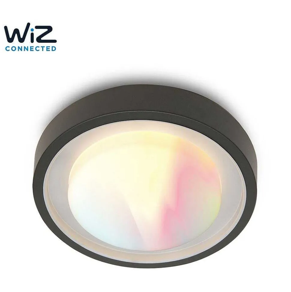 Plafonnier D'Exterieur Lutec Origo Led Anthracite, 1 Lumiere, Changeur De Couleurs