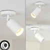 Plafonnier Exterieur Aketohoin Led Blanc, 1 Lumiere