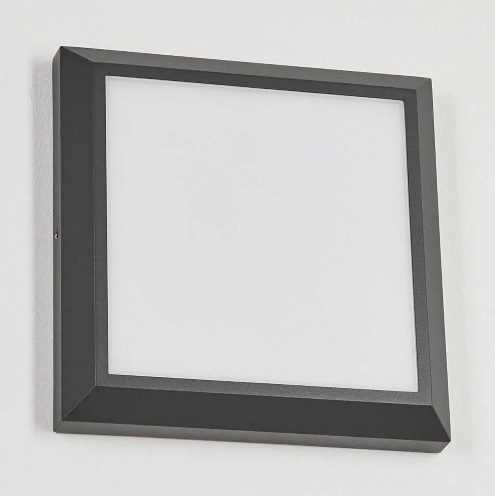 Plafonnier Exterieur Alkmaar Led Anthracite, 1 Lumiere