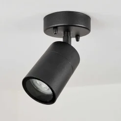 Plafonnier Exterieur Corneda Noir, 1 Lumiere