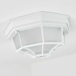 Plafonnier Exterieur Ibacache Blanc, 1 Lumiere