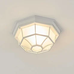 Plafonnier Exterieur Ibacache Blanc, 1 Lumiere