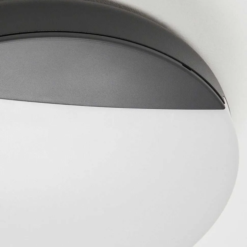 Plafonnier Exterieur Joserand Led Anthracite, 1 Lumiere