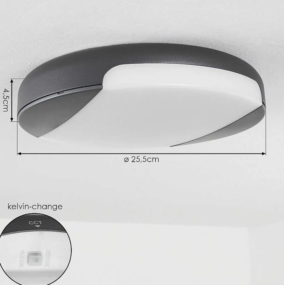 Plafonnier Exterieur Joserand Led Anthracite, 1 Lumiere
