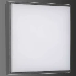 Plafonnier Exterieur Lcd Typ 5060 Led Noir, 1 Lumiere