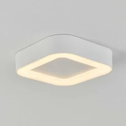 Plafonnier Exterieur Paleroo Led Blanc, 1 Lumiere