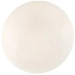 Plafonnier Globo Sajama Led Blanc, 1 Lumiere, Telecommandes