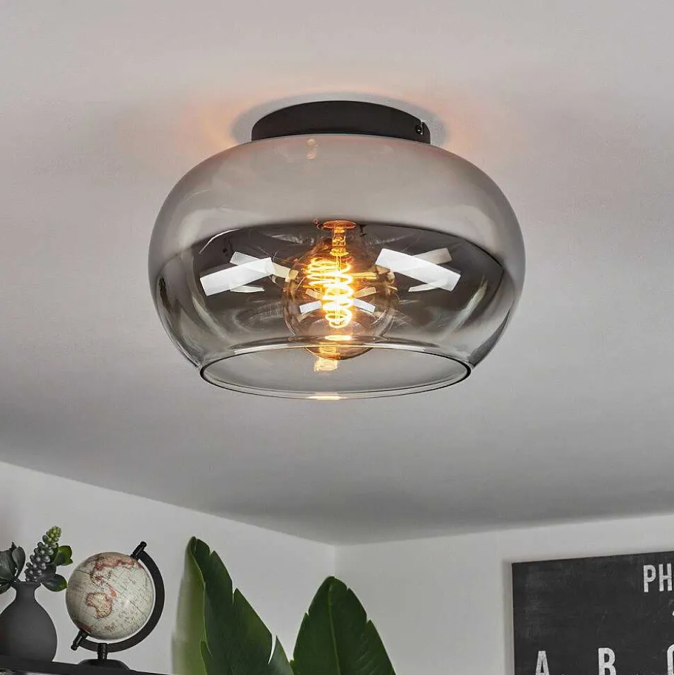 Plafonnier Molloy Clair, Fume, 1 Lumiere