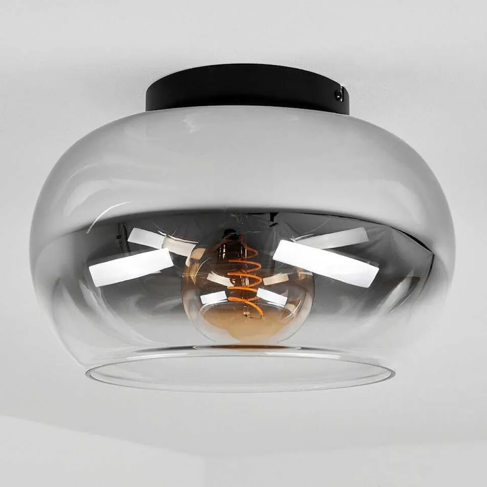 Plafonnier Molloy Clair, Fume, 1 Lumiere