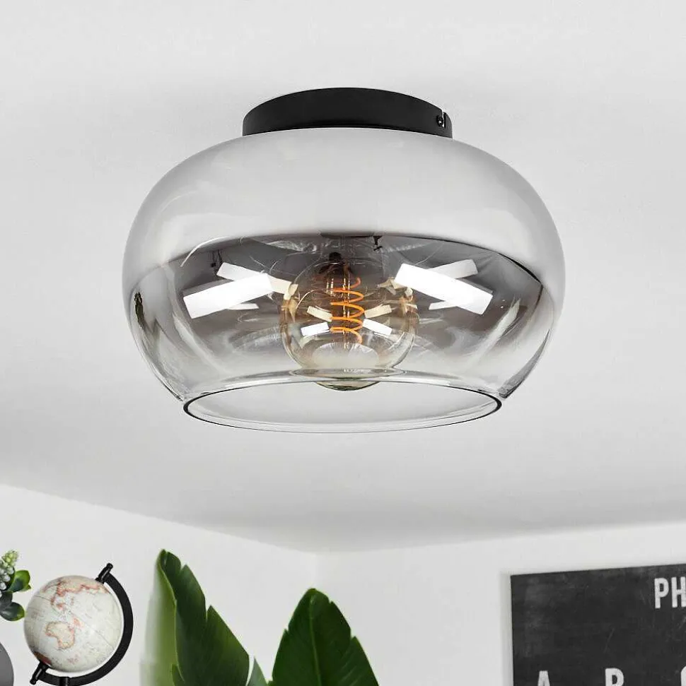 Plafonnier Molloy Clair, Fume, 1 Lumiere