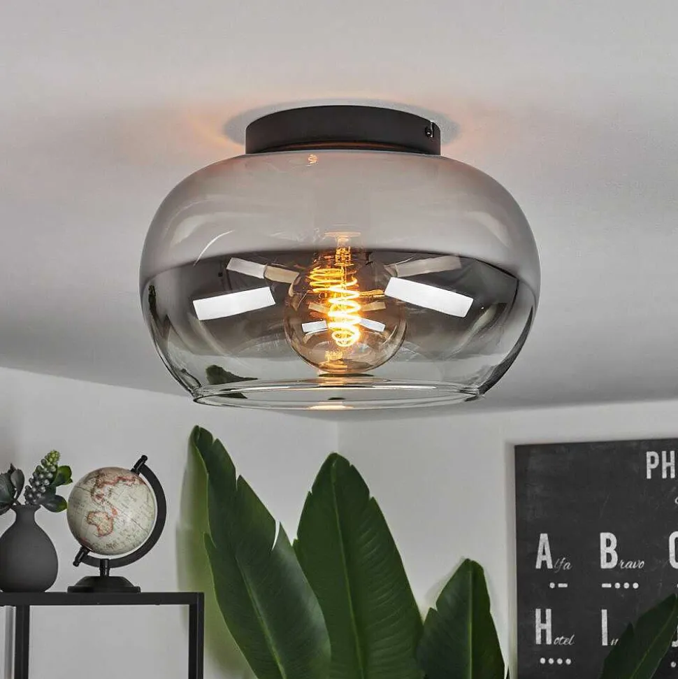 Plafonnier Molloy Clair, Fume, 1 Lumiere