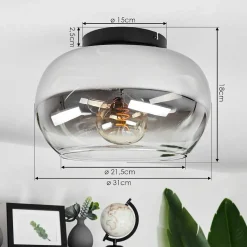 Plafonnier Molloy Clair, Fume, 1 Lumiere