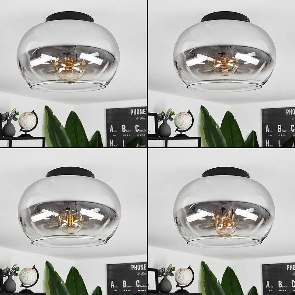 Plafonnier Molloy Clair, Fume, 1 Lumiere