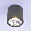 Plafonnier Paul Neuhaus Georg Led Anthracite, 1 Lumiere